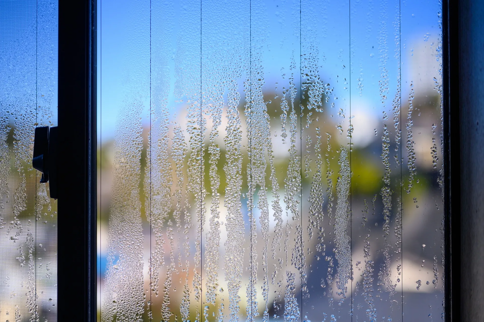 窓が汚れていると家の印象も変わる！？簡単にできる窓掃除テクニック